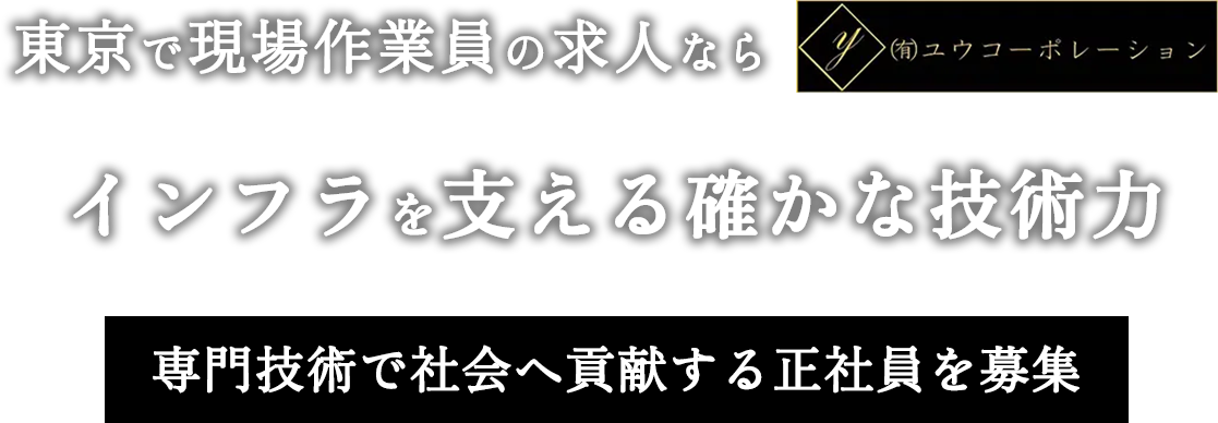 MVcatch_pc